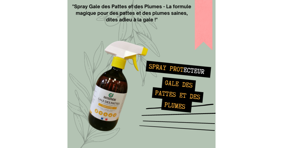 Gale des pattes pour poule